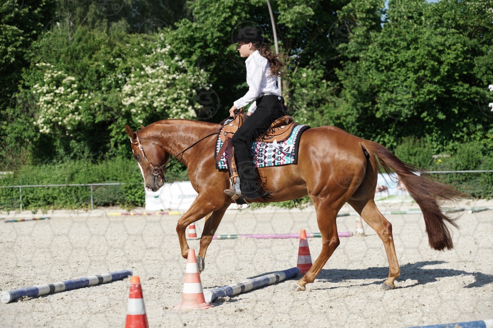 s_APF06859.jpg